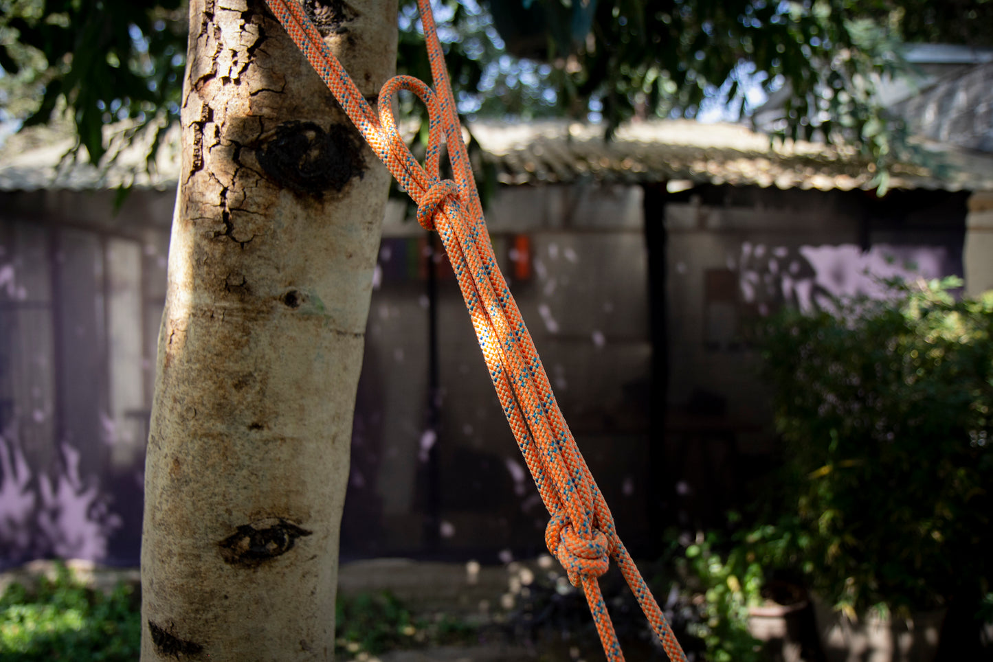 Taller TÉCNICO CAÑONISMO / Canyons.mx